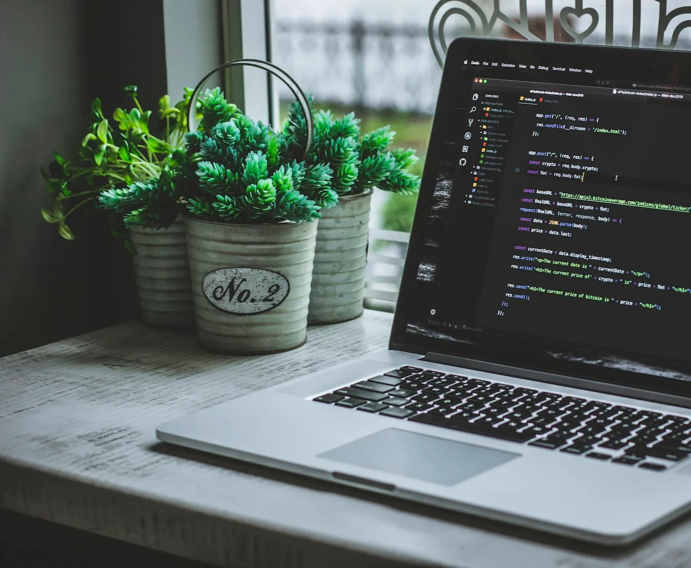Laptop showing code on a desk next to potted plants
