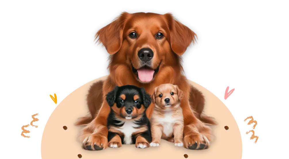 Three happy dogs, Pet Land artwork